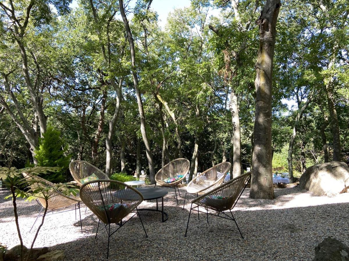 Bed and Breakfast Mas Del Ca Adult Only Sorède Exterior foto