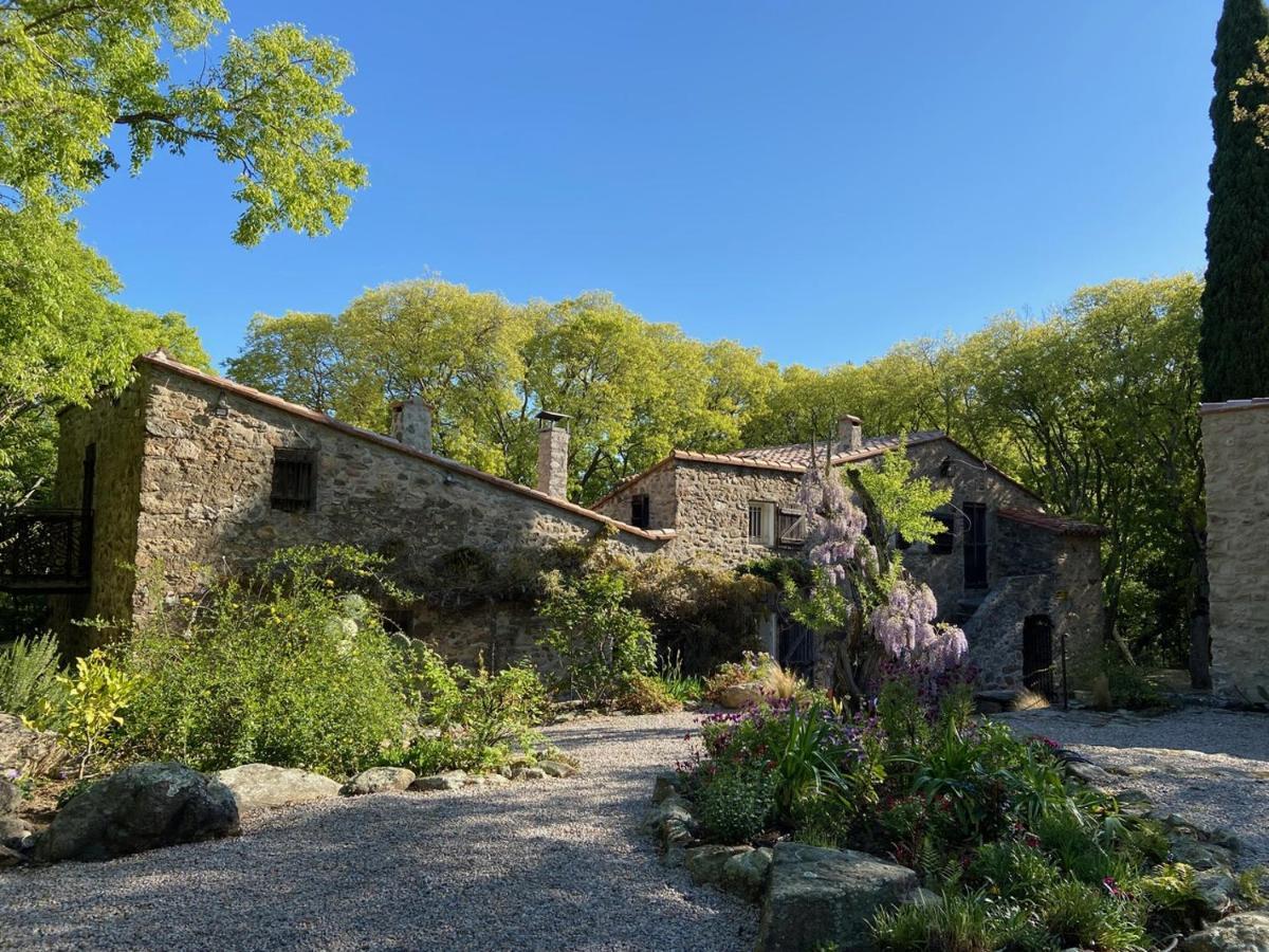 Bed and Breakfast Mas Del Ca Adult Only Sorède Exterior foto