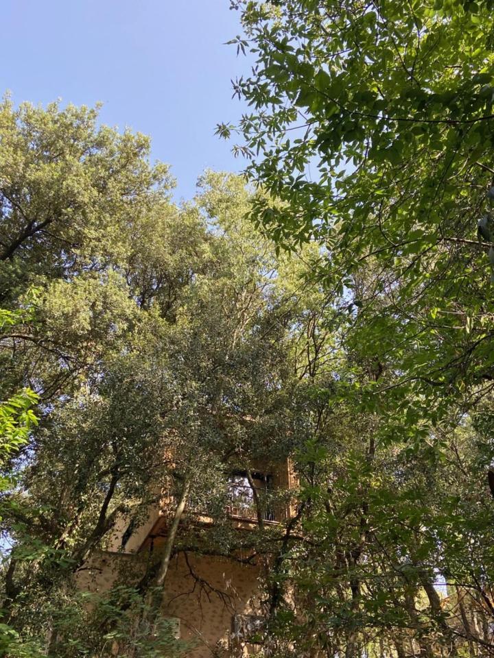 Bed and Breakfast Mas Del Ca Adult Only Sorède Exterior foto